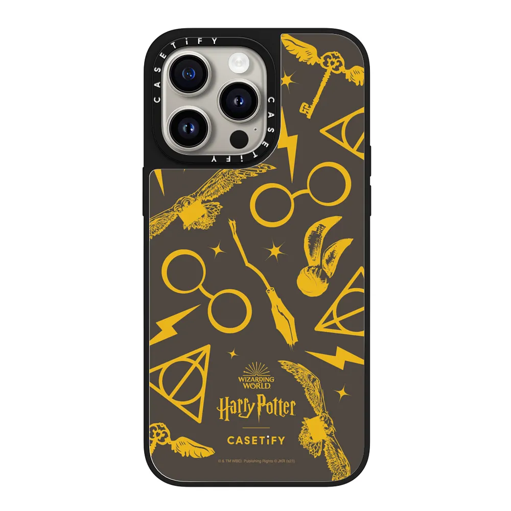 The Harry Potter Case