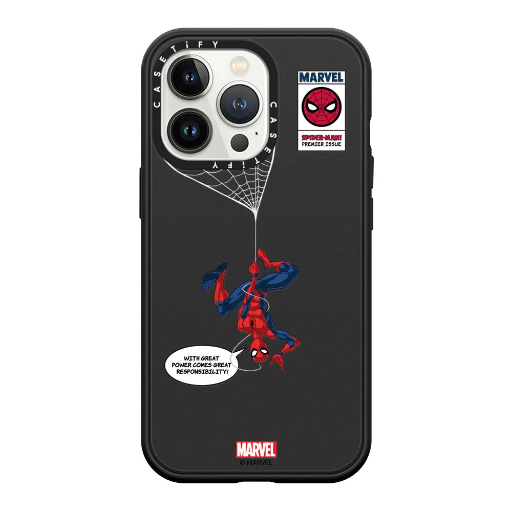 Spider-Man Hanging Case